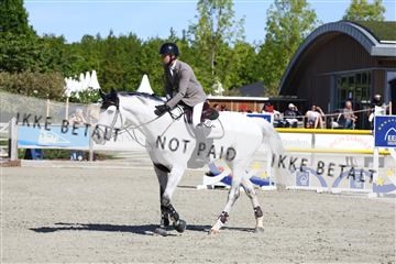181436_avh_02_3546.JPG