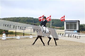 181894_mtp_04_R62_3272.JPG