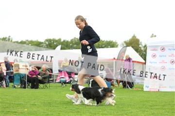 182009_rin_01_R62_7001.JPG