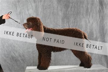 130054_le_ 01_0326.JPG