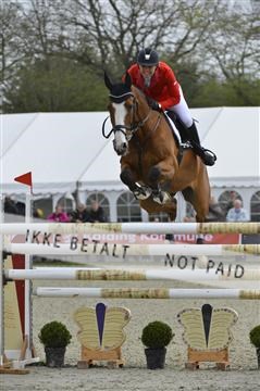 139644_abo_07__AB15853.JPG