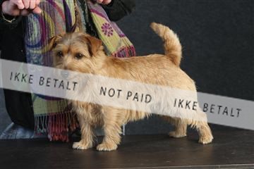 132082_le_ 01_IMG_0532.JPG