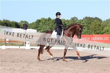 181449_bc_01R62_6387.JPG