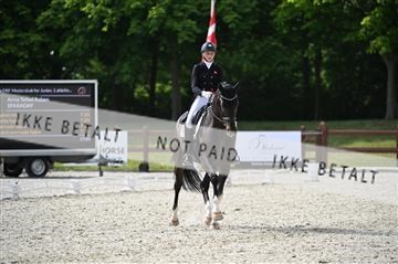 176255_mtp_02_Z09_2767.JPG