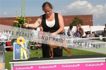 130370_se_03_IMG_7742.JPG