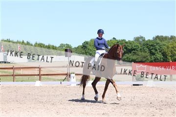 181449_bc_01R62_5633.JPG