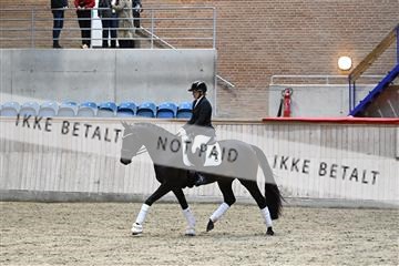 182241_kbb_01_Z094402.JPG