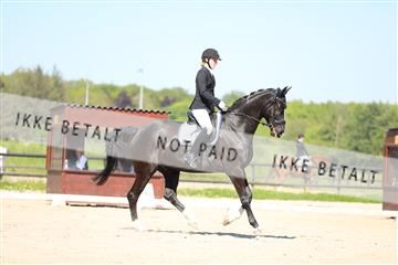 168732_mtp_01_3M5A8032.JPG