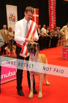 126827_jbr_02_IMG_1007.JPG