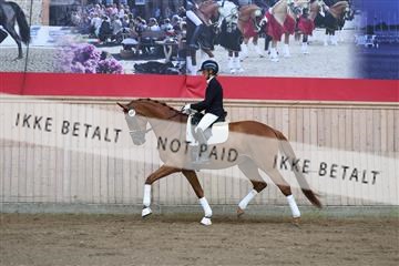 181887_mtp_02_R62_7434.JPG