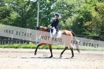 168732_mtp_01_3M5A7114.JPG