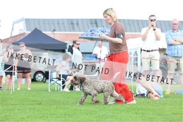 181564_rin_01_R62_0268.JPG