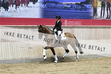 182241_kbb_01_Z093051.JPG