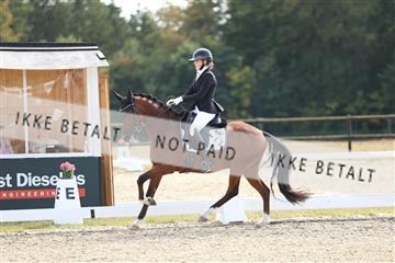 181894_mtp_02_R62_2168.JPG