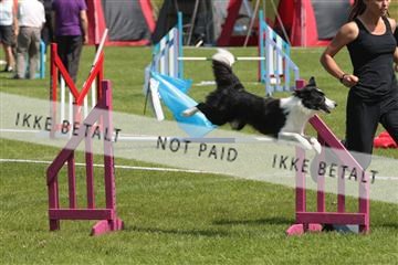 130370_tl_02_IMG_7806.JPG