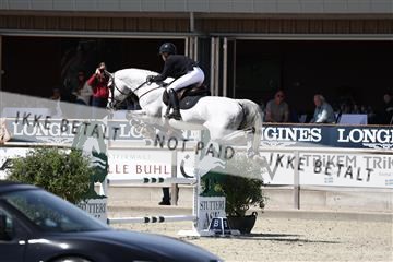 181436_avh_03_4429.JPG