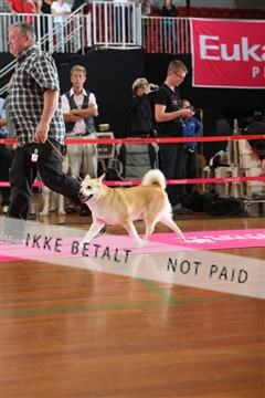 6068_ma_05_IMG_5925.JPG