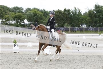166078_rhj_01__J7R2728.JPG