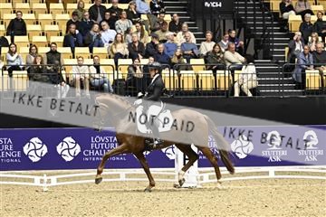 182194_kbb_03_Z090940.JPG