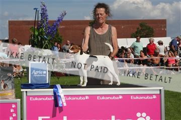 130370_se_03_IMG_7755.JPG