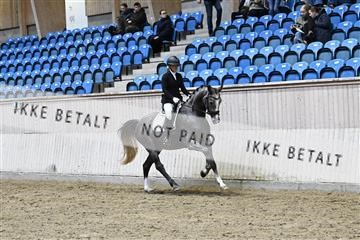 182241_kbb_01_Z093574.JPG