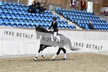 182241_kbb_01_Z095000.JPG
