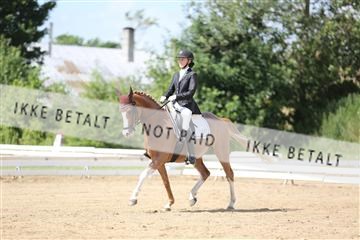 156196_nn_01_IMG_6238.JPG