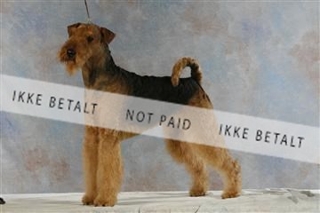 5493_sme _03__MG_9771.JPG