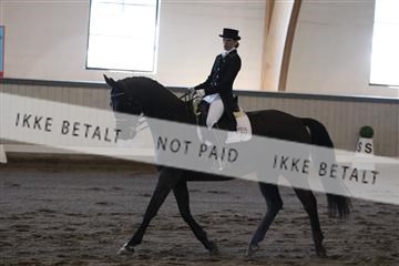 139267_kl_1_8M1Q6789.JPG
