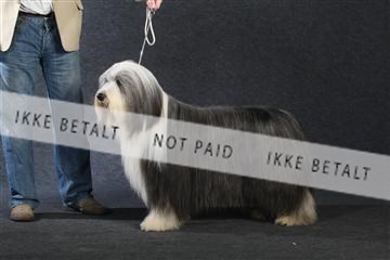 132082_le_ 01_IMG_1049.JPG