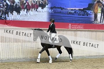 182241_kbb_01_Z095021.JPG