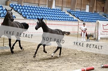 181754_kbb_01_Z093421.JPG