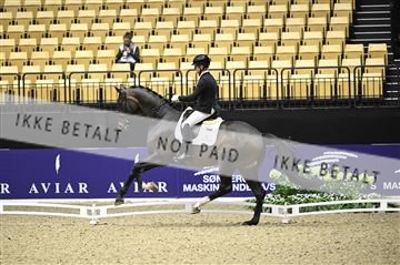 182194_kbb_02_Z098268.JPG