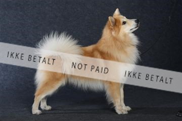 132082_le_ 01_IMG_1039.JPG