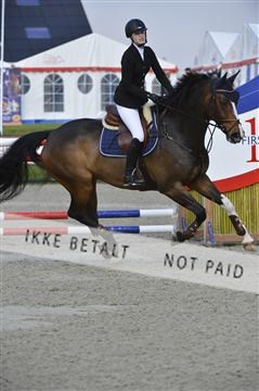 139644_abo_01__AB13726.JPG