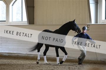 139266_kl_1_8M1Q7300.JPG