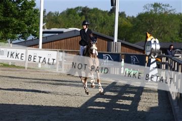 181436_avh_01_2917.JPG