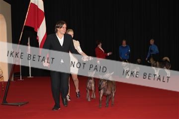 126827_tl_02_IMG_2801.JPG