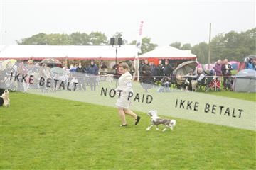 182009_kar_01__62_5810.JPG