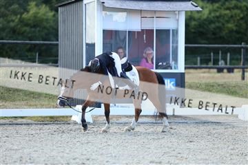 181894_mtp_05_R62_5345.JPG