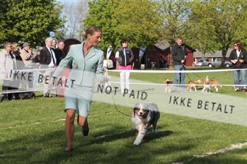 134871_ms_03_IMG_0375.JPG
