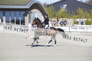 181332_kbb_01_6II3529.JPG