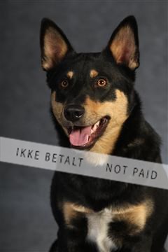 132082_le_ 01_IMG_0737.JPG