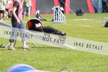 130370_tl_02_IMG_7752.JPG