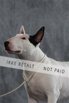 128239_le_kort_ 01_0248.JPG