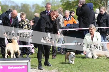 134871_ms_02_IMG_3467.JPG