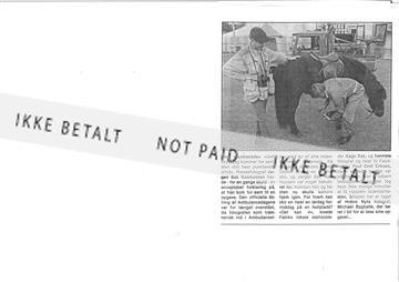 Avisudklip Hest punkterede.jpg