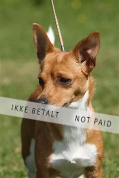 130370_se_03_IMG_6983.JPG