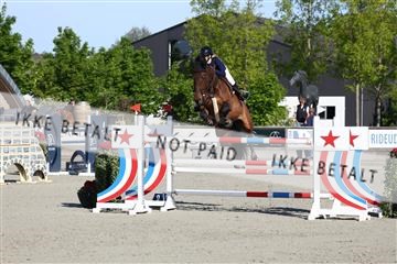 181436_avh_01_3177.JPG