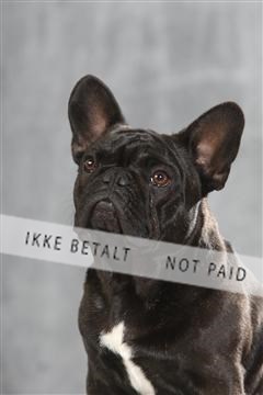 130054_le_ 03_0022.JPG